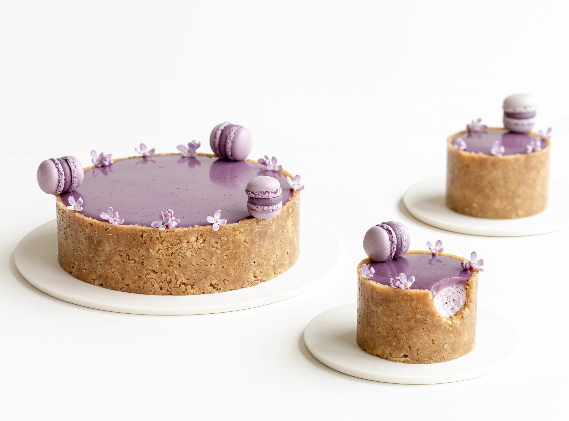 BLUEBERRY VANILLA CHEESeCAKE